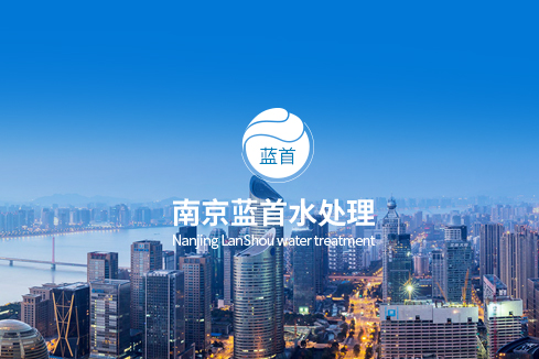 大化建站-南京蓝首水处理设备有限公司
