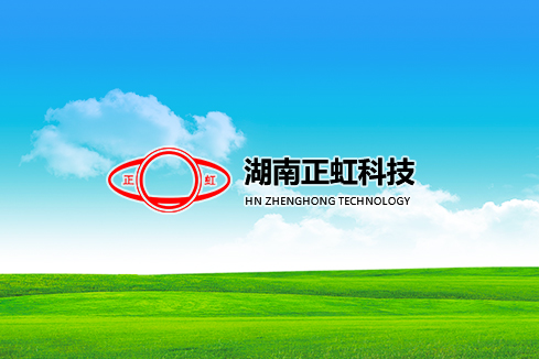 大化建站-湖南正虹科技