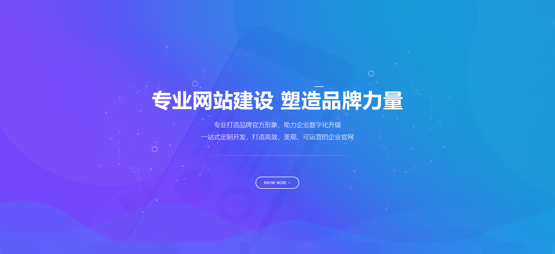 河池建站-专业网站建设 塑造品牌力量