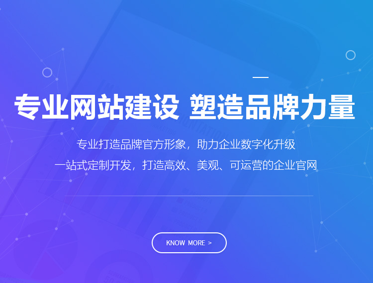 河池建站-专业网站建设 塑造品牌力量